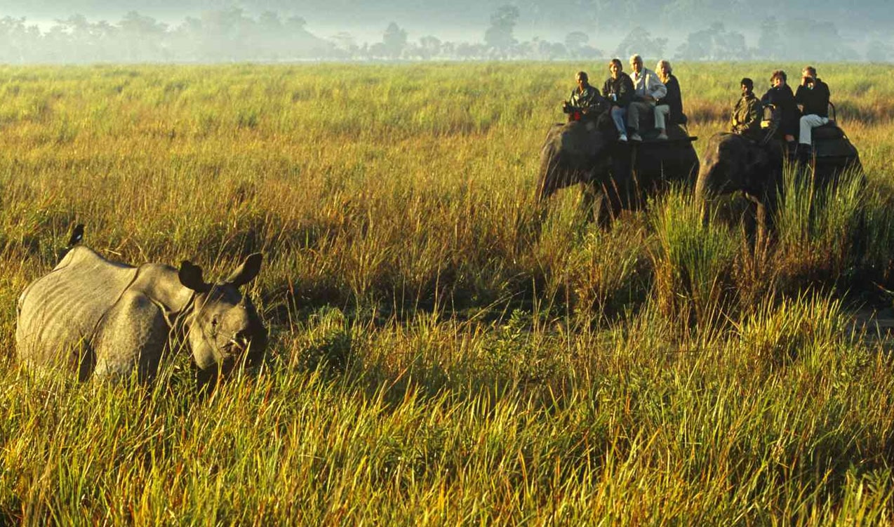 Kaziranga.jpg